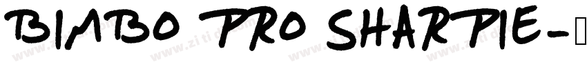 BIMBO PRO SHARPIE字体转换